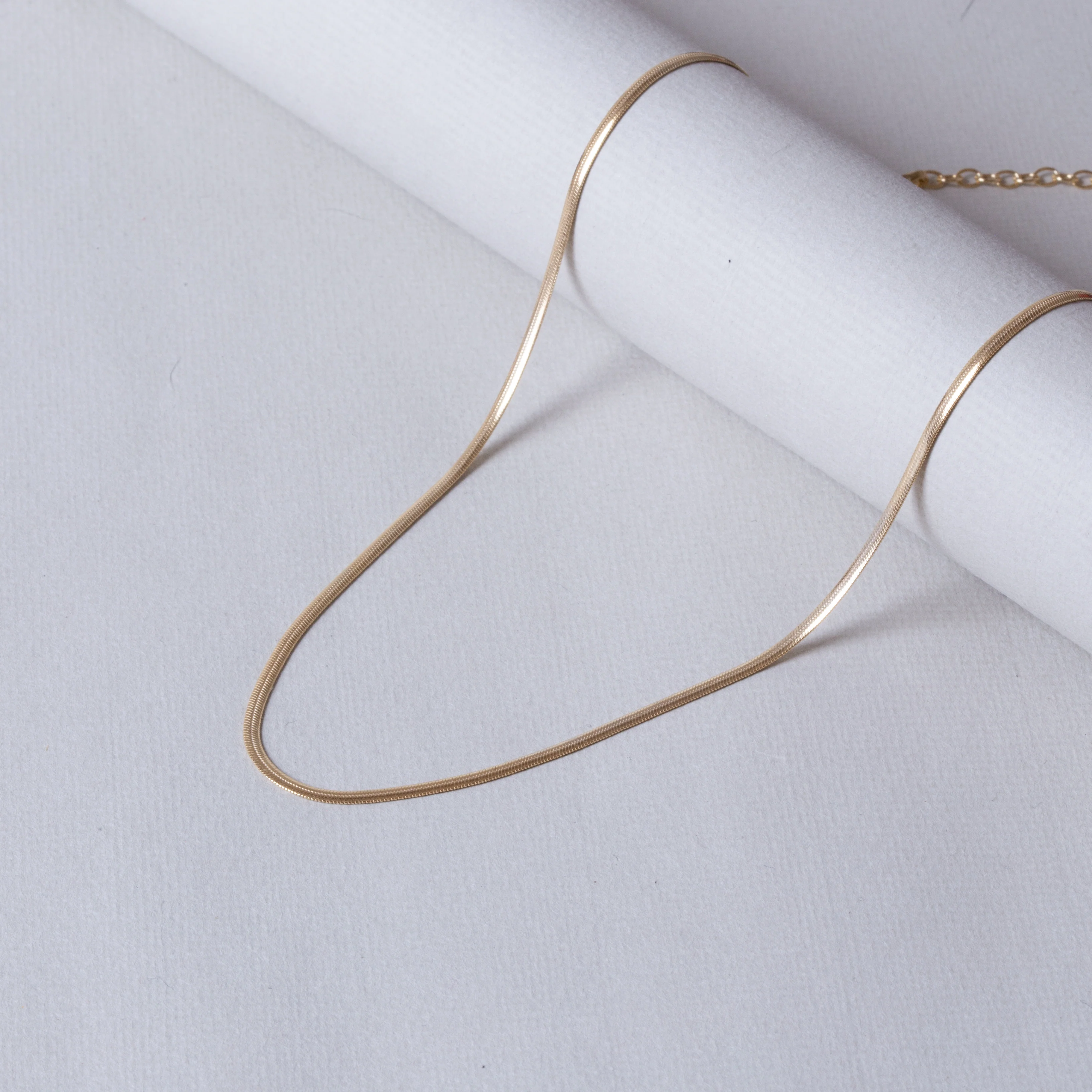Flat Snake Chain Necklace