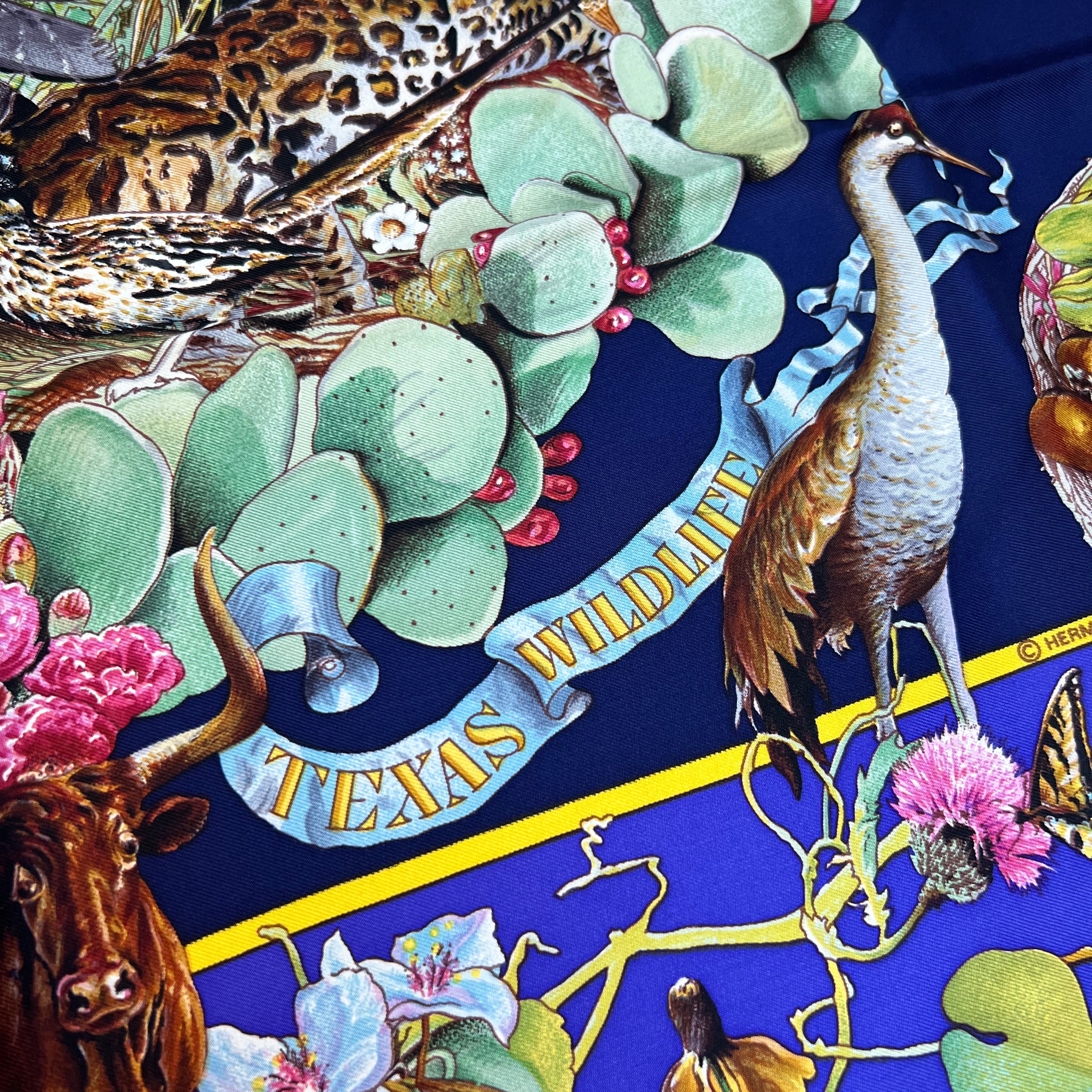 Vintage Hermes Silk Scarf "Texas Wildlife" - Image 3